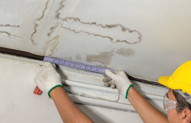 Reliable Burst Pipe Cleanup contractor in Taylor, MS by Water Damage Irwin